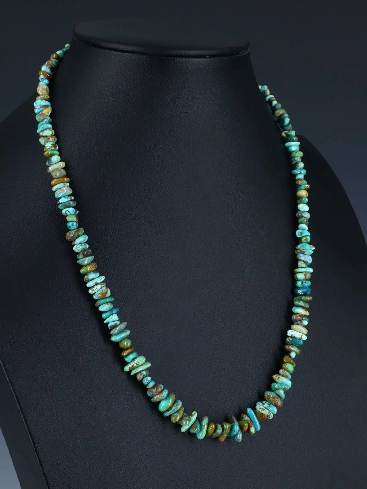 20" Single Strand Carico Lake Turquoise Necklace
