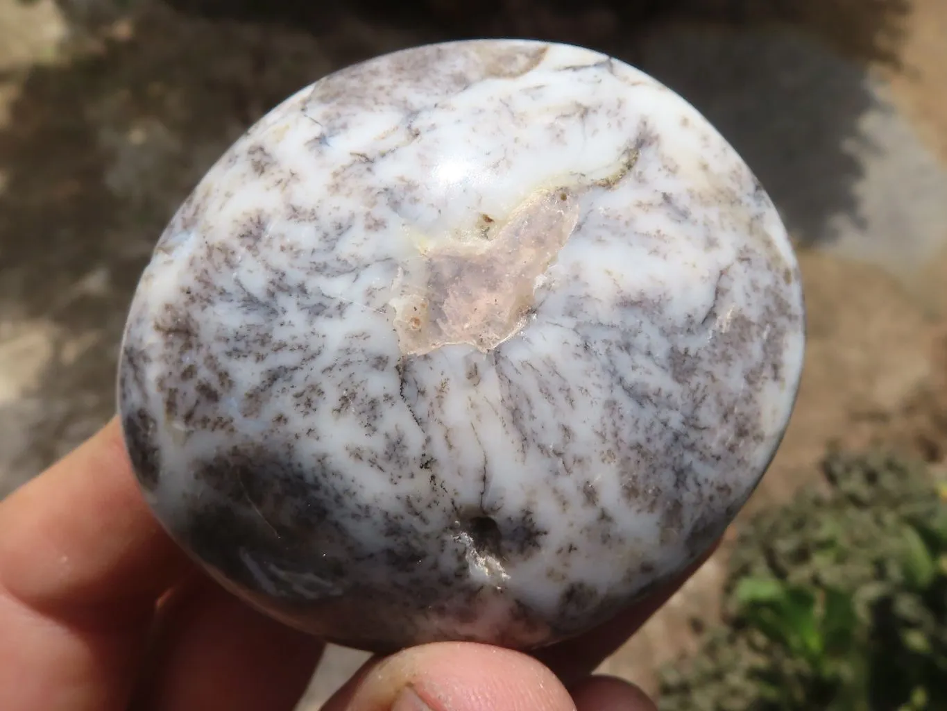Polished Dendritic Opal Galet / Palm Stone x 6 from Madagascar