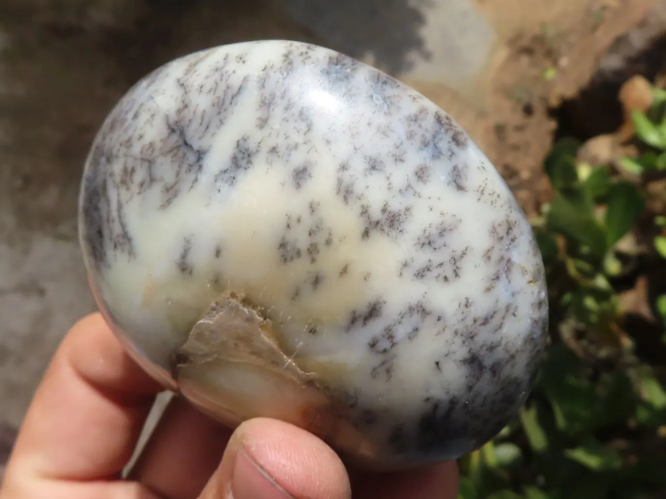Polished Dendritic Opal Galet / Palm Stone x 6 from Madagascar