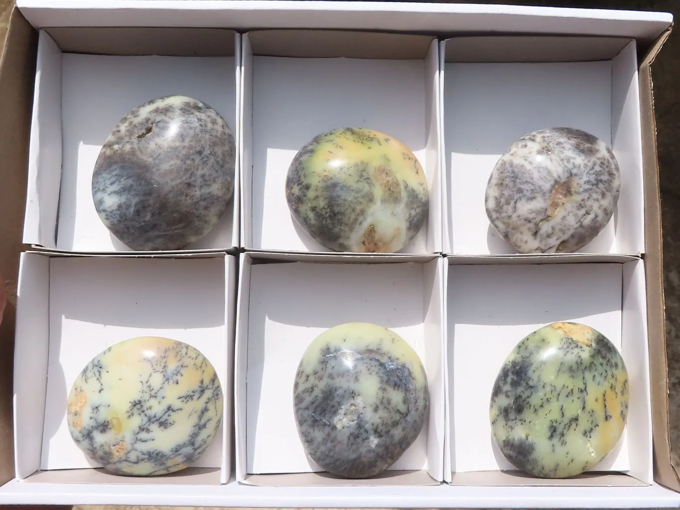 Polished Dendritic Opal Galet / Palm Stone x 6 from Madagascar