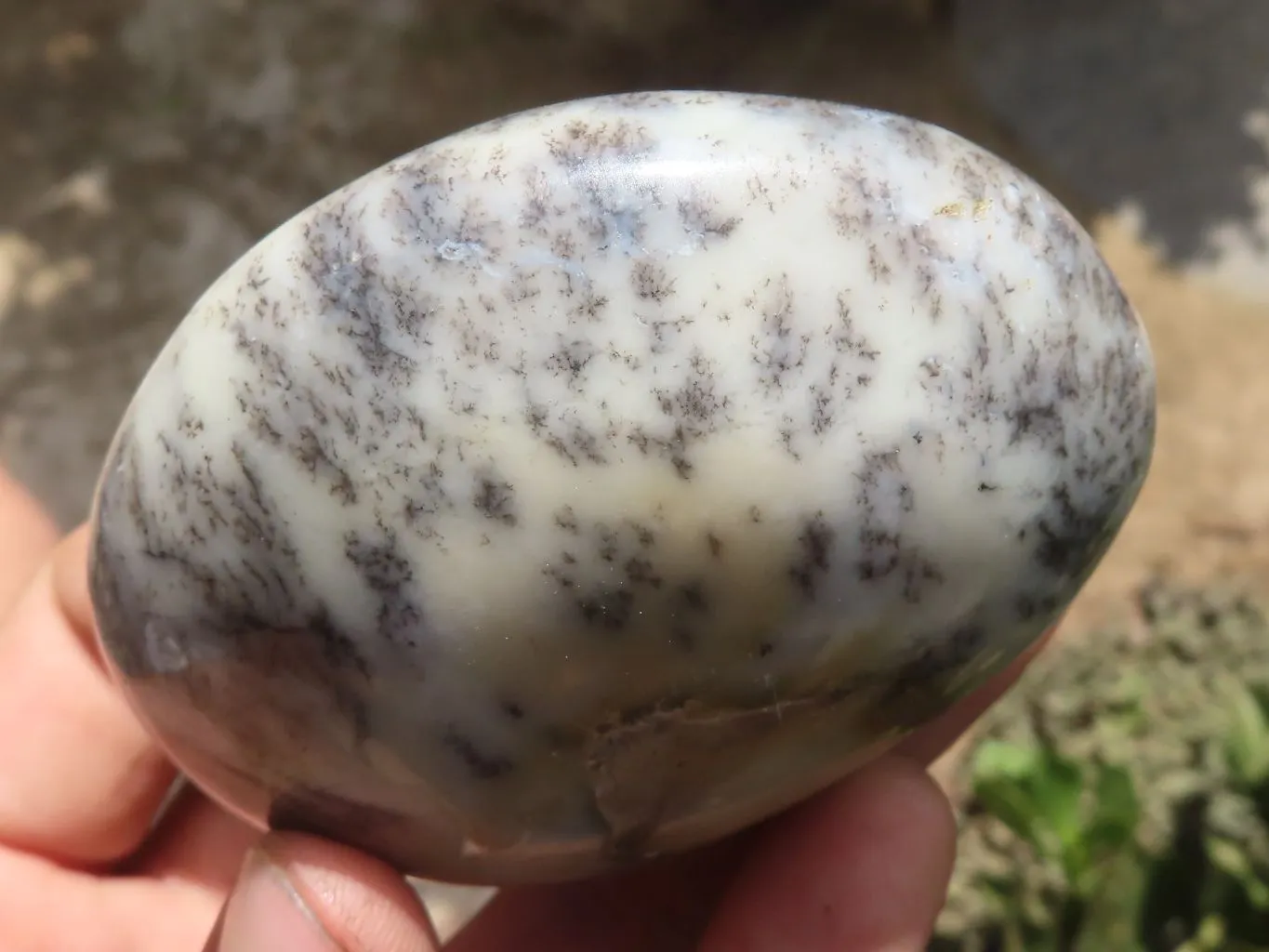 Polished Dendritic Opal Galet / Palm Stone x 6 from Madagascar