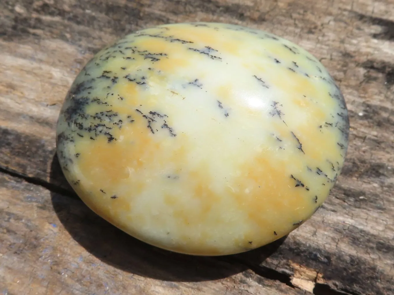 Polished Dendritic Opal Galet / Palm Stone x 6 from Madagascar