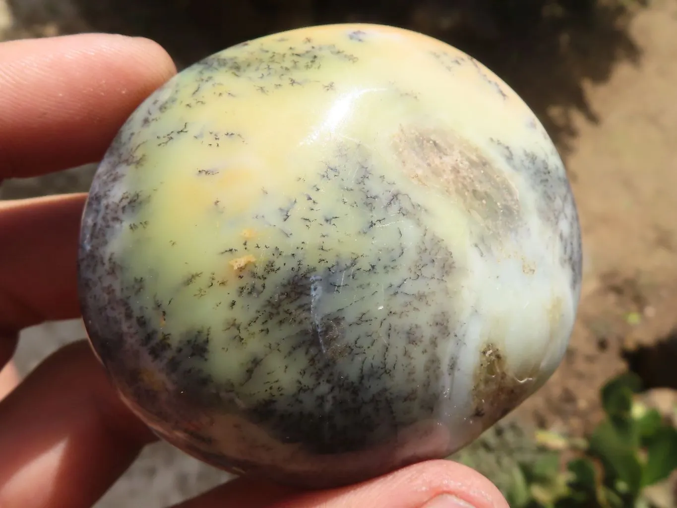 Polished Dendritic Opal Galet / Palm Stone x 6 from Madagascar